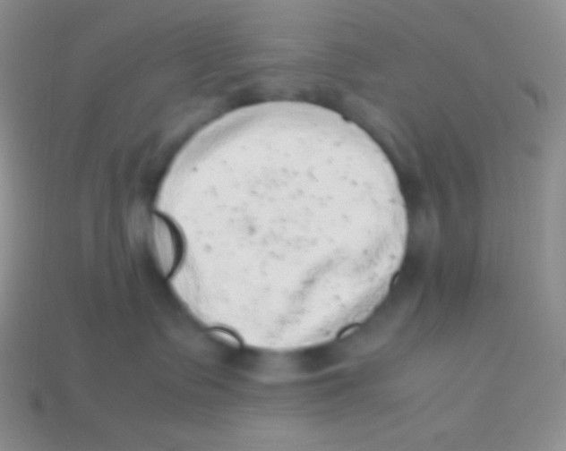 X0000113640335200910162042