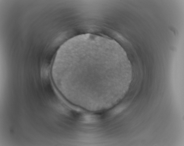 X0000113640336200910162042