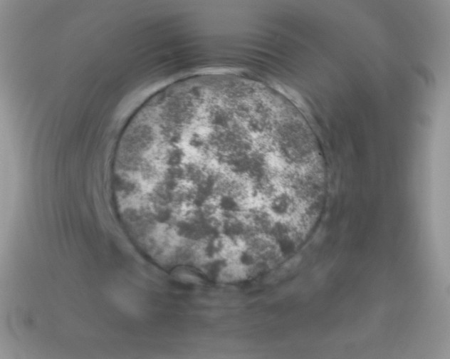 X0000113640337200910162042