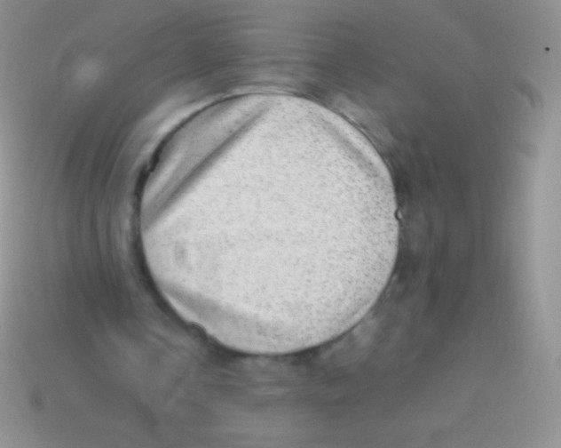 X0000113640338200910162042