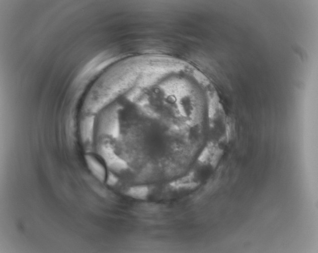 X0000113640339200910162042