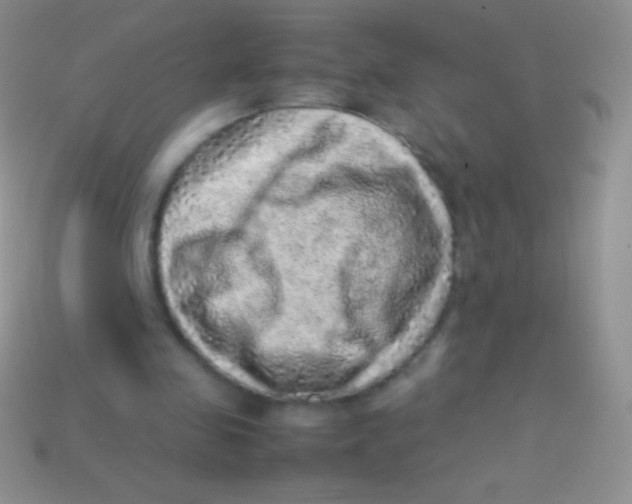 X0000113640341200910162042