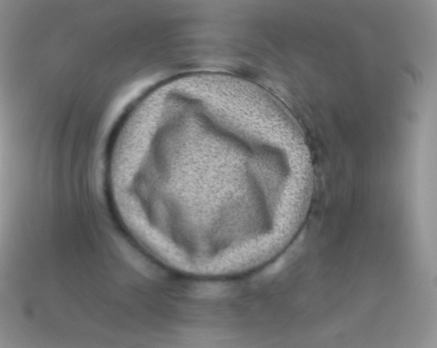 X0000113640342200910162042