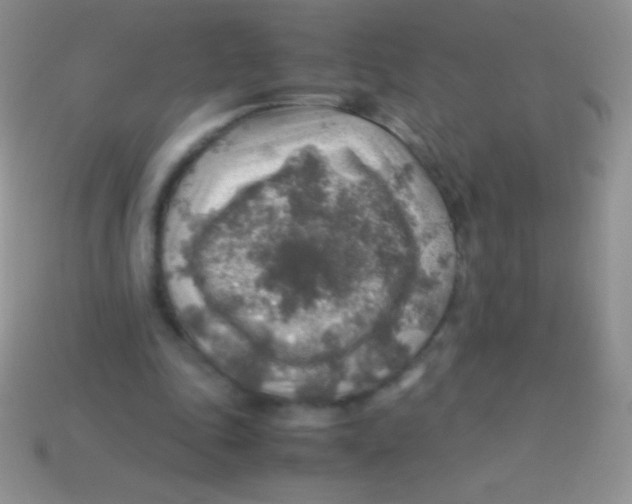 X0000113640343200910162042