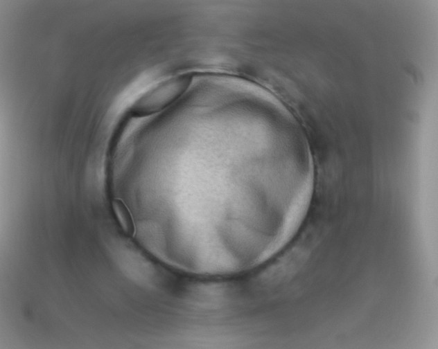 X0000113640344200910162042