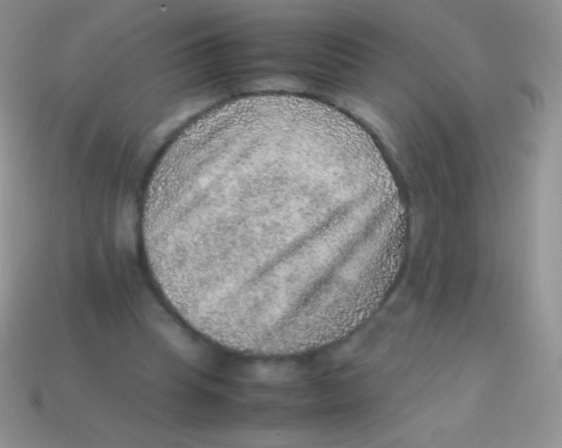 X0000113640345200910162042