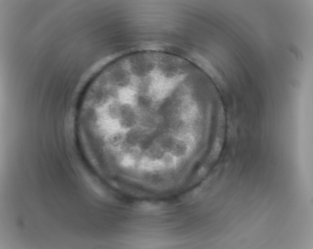 X0000113640346200910162042