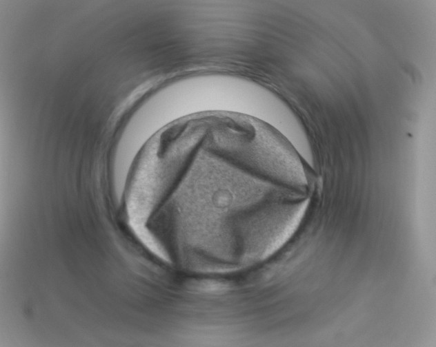 X0000113640348200910162042