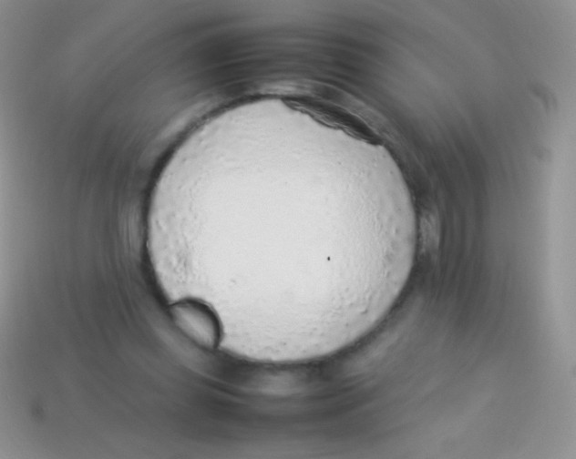 X0000113640349200910162042