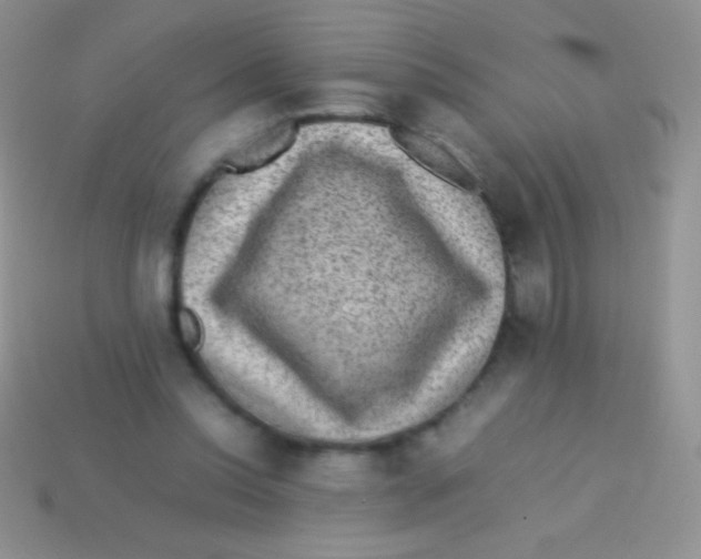 X0000113640350200910162042