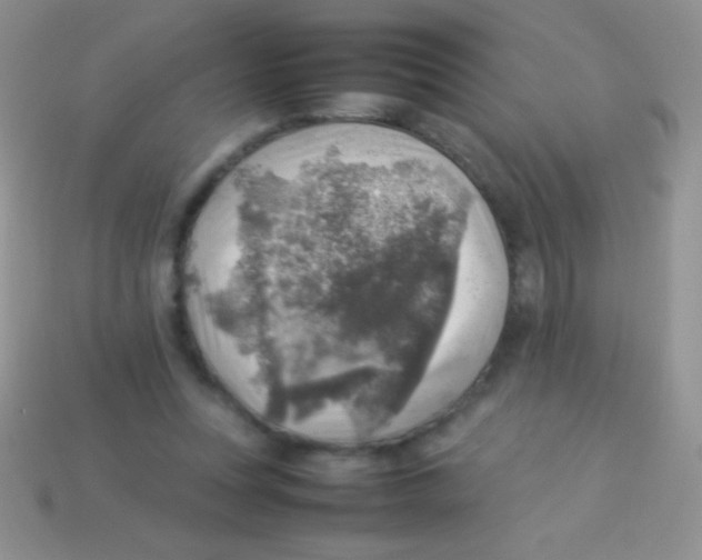 X0000113640351200910162042