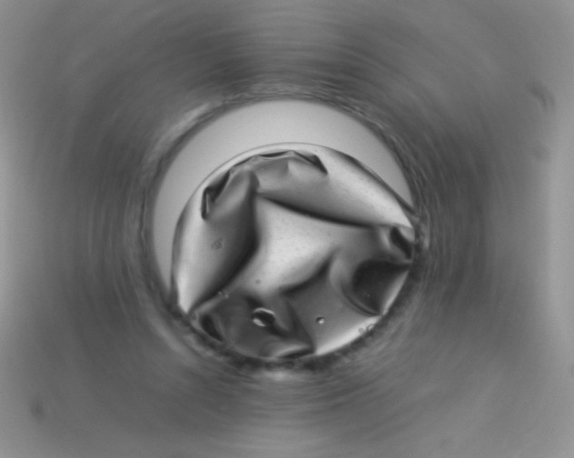 X0000113640352200910162042