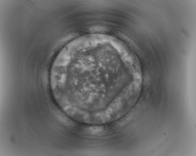 X0000113640353200910162042