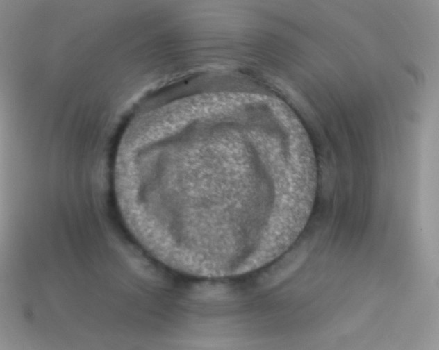 X0000113640354200910162042