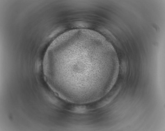 X0000113640355200910162042