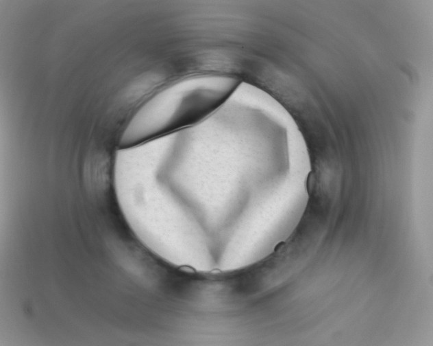 X0000113640356200910162042