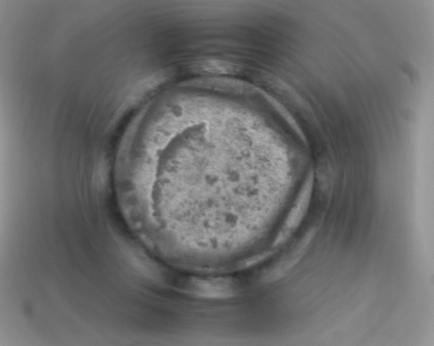 X0000113640359200910162042