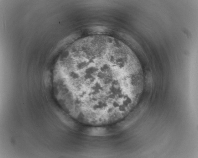 X0000113640361200910162042