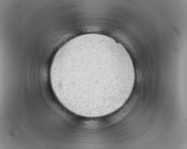 X0000113640362200910162042