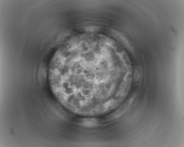 X0000113640363200910162042