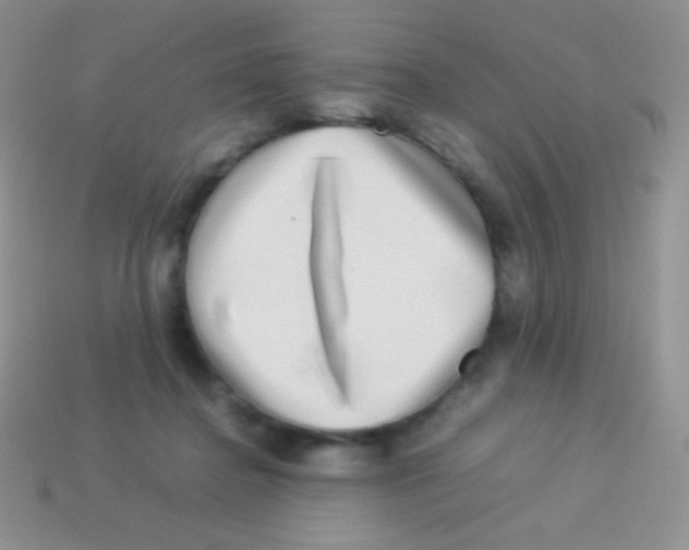 X0000113640364200910162042