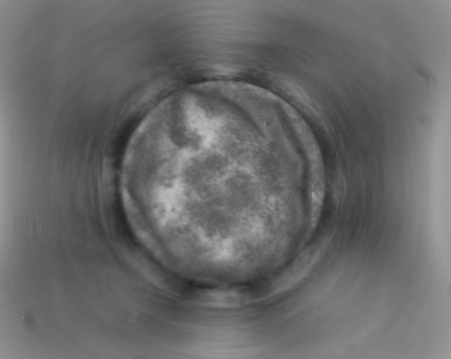 X0000113640366200910162042