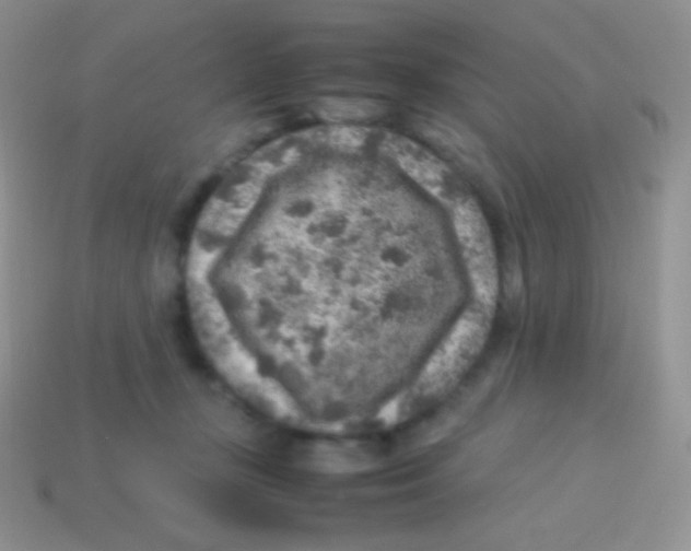 X0000113640367200910162042