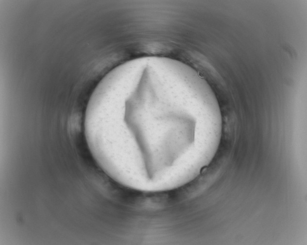 X0000113640368200910162042