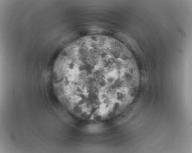 X0000113640369200910162042