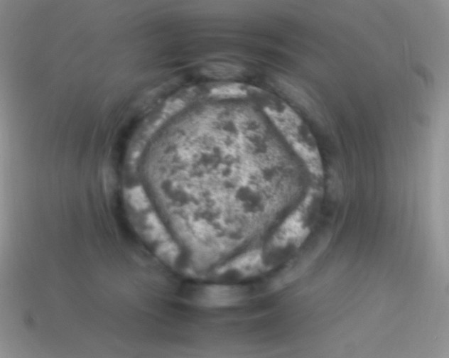 X0000113640371200910162042