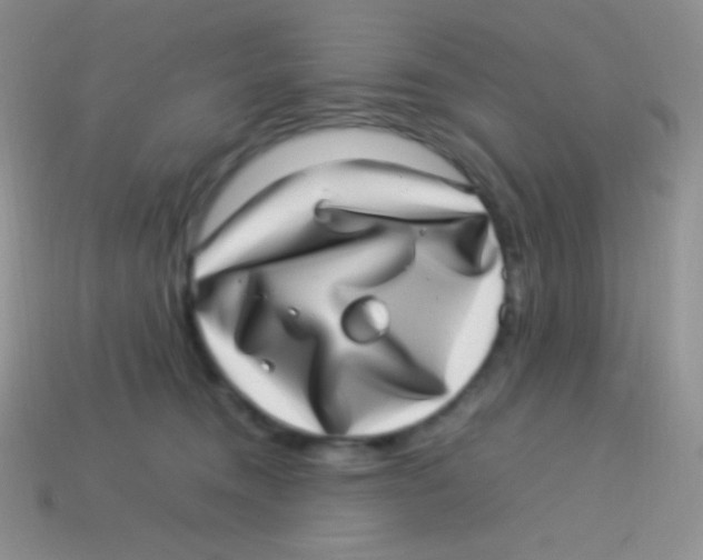 X0000113640372200910162042