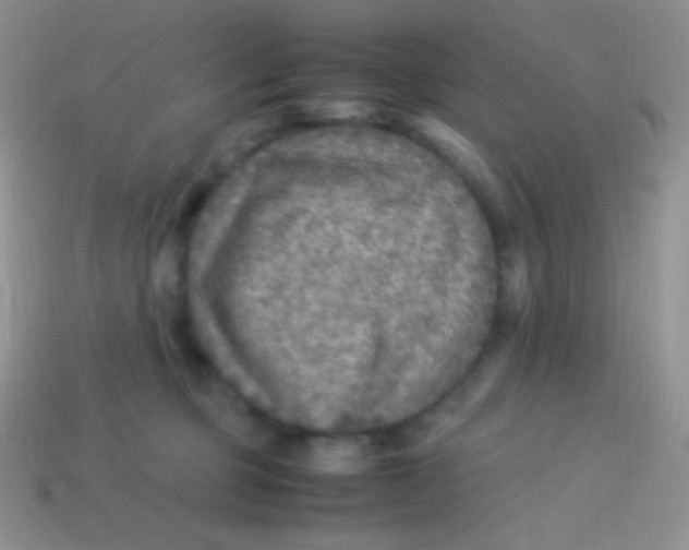 X0000113640373200910162042