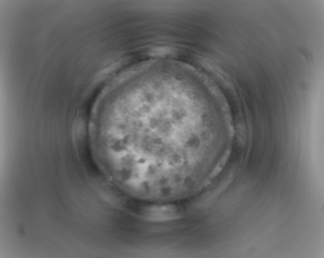 X0000113640375200910162042