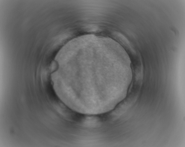 X0000113640376200910162042