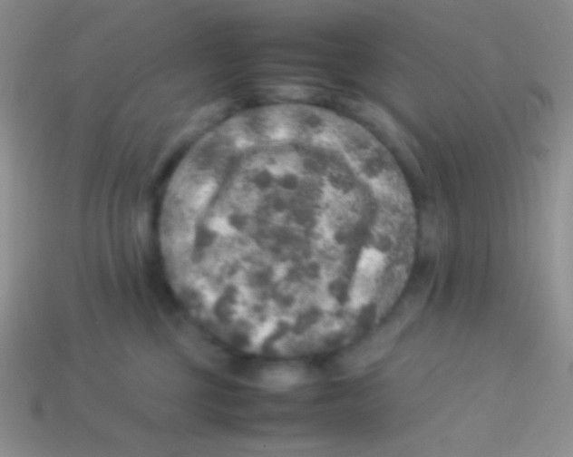 X0000113640377200910162042