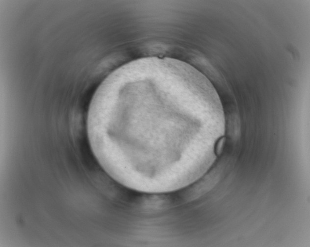 X0000113640378200910162042