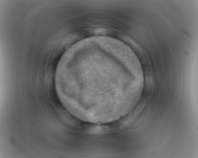 X0000113640379200910162042