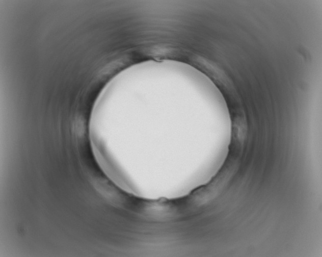 X0000113640380200910162042