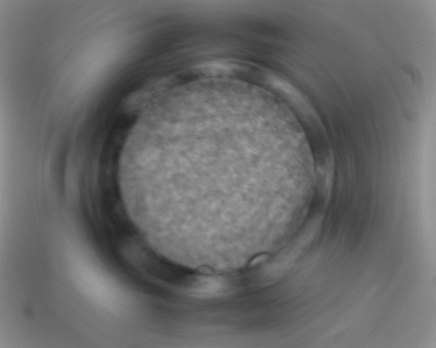 X0000113640381200910162042