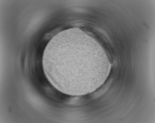 X0000113640382200910162042