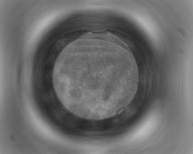 X0000113640383200910162042