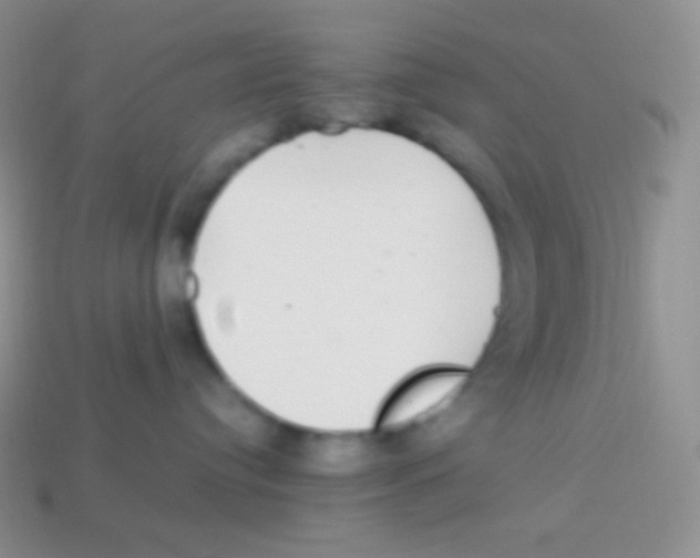 X0000113640384200910162042