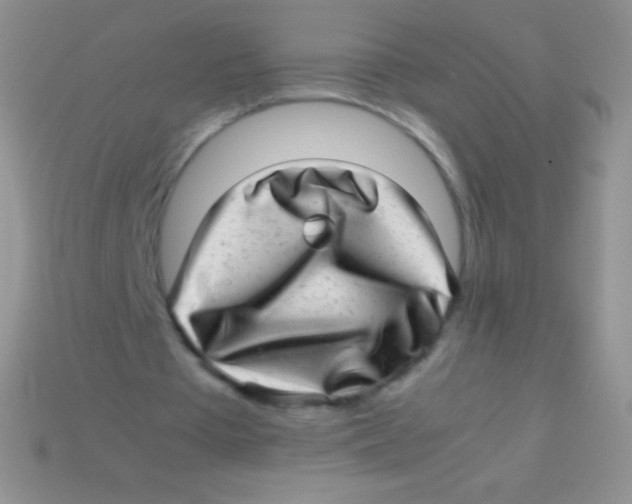 X0000113640385200910162042