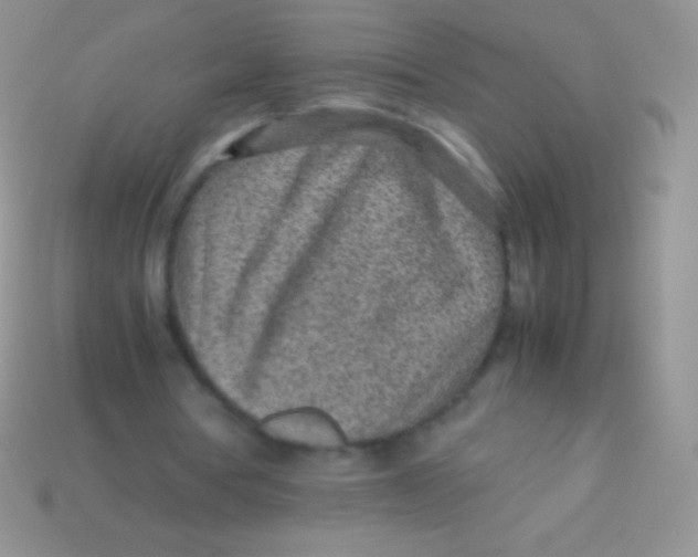 X0000113640386200910162042