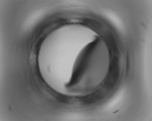 X0000113640387200910162042