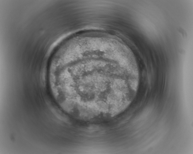 X0000113640388200910162042