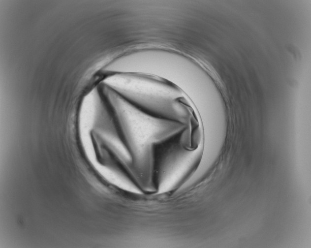 X0000113640389200910162042