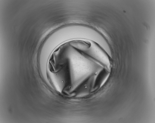 X0000113640391200910162042