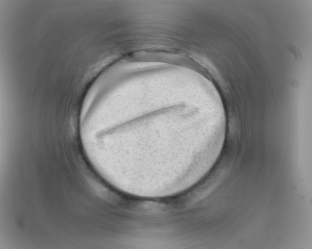 X0000113640393200910162042