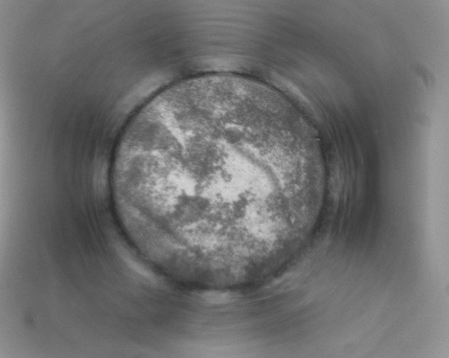 X0000113640394200910162042